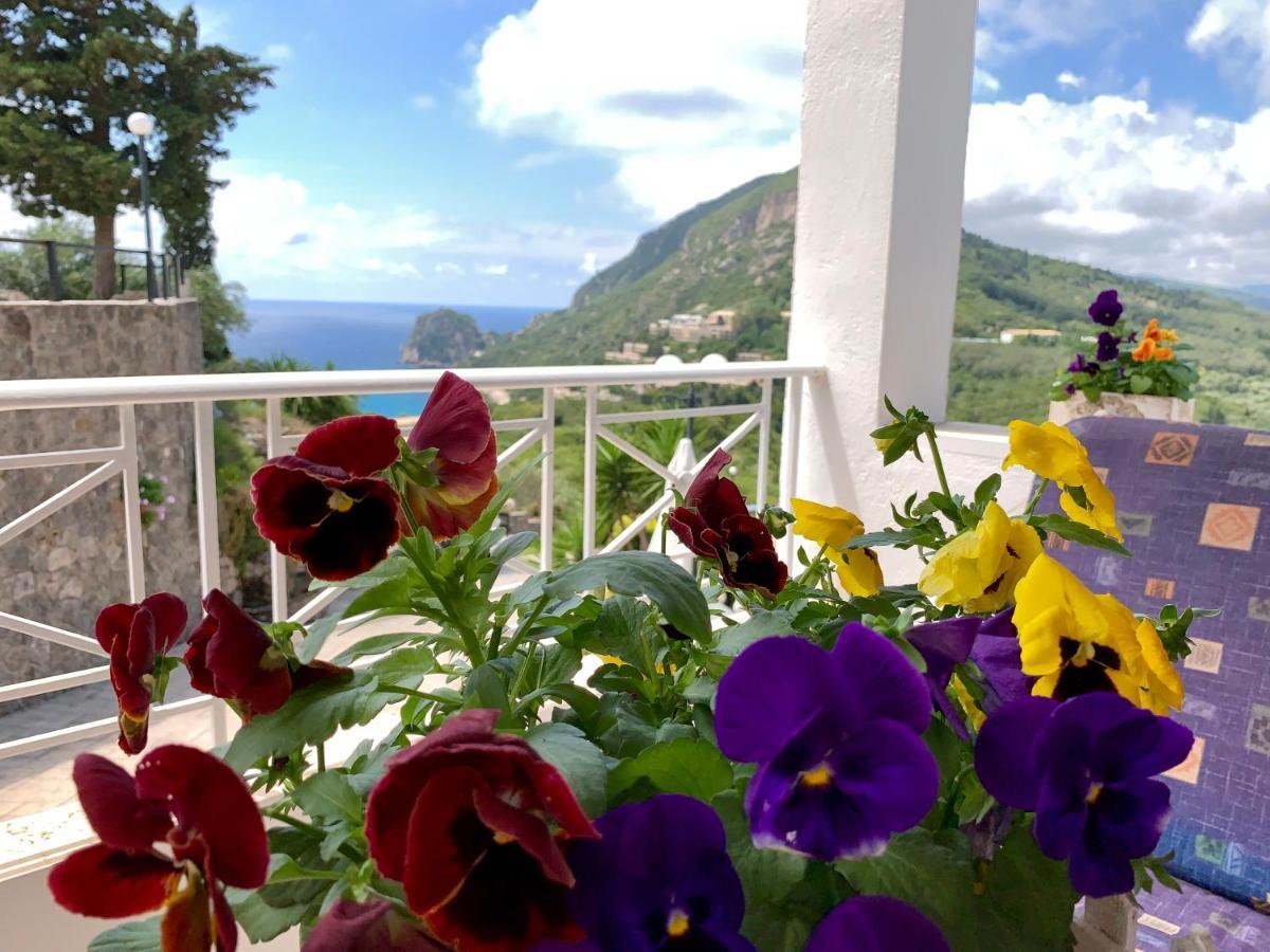 Ermones Diamond Villa Vatos Bagian luar foto
